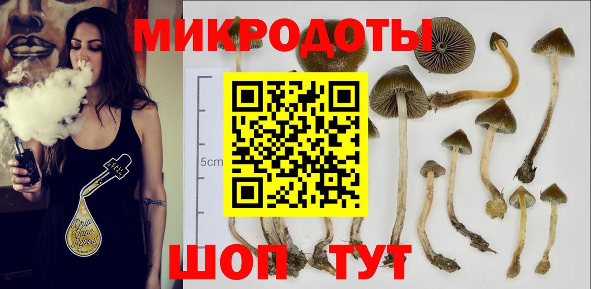 Галлюциногенные грибы Psilocybine cubensis  Вход с VPN  Галлюциногенные грибы GOLDEN TEACHER  закладка  Верхняя Пышма 