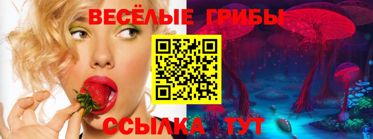 Псилоцибиновые грибы Magic Shrooms Верхняя Пышма